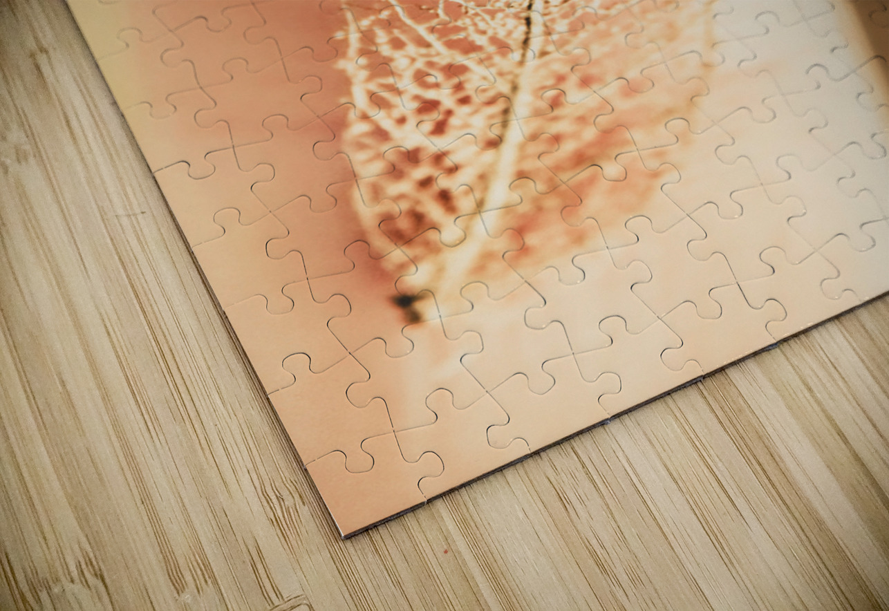 Autumn fragility Jorgo Puzzle