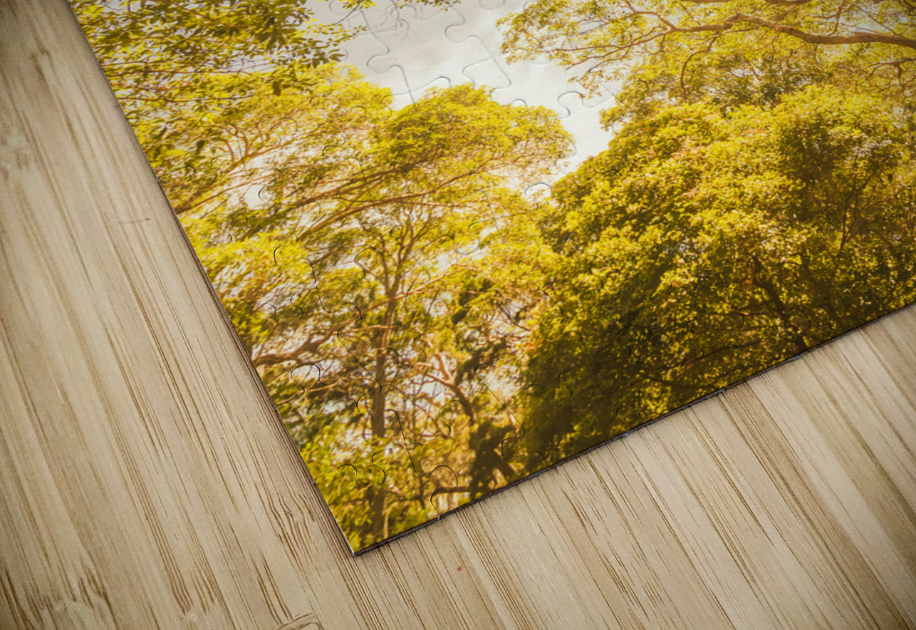 Up and away Jorgo Puzzle