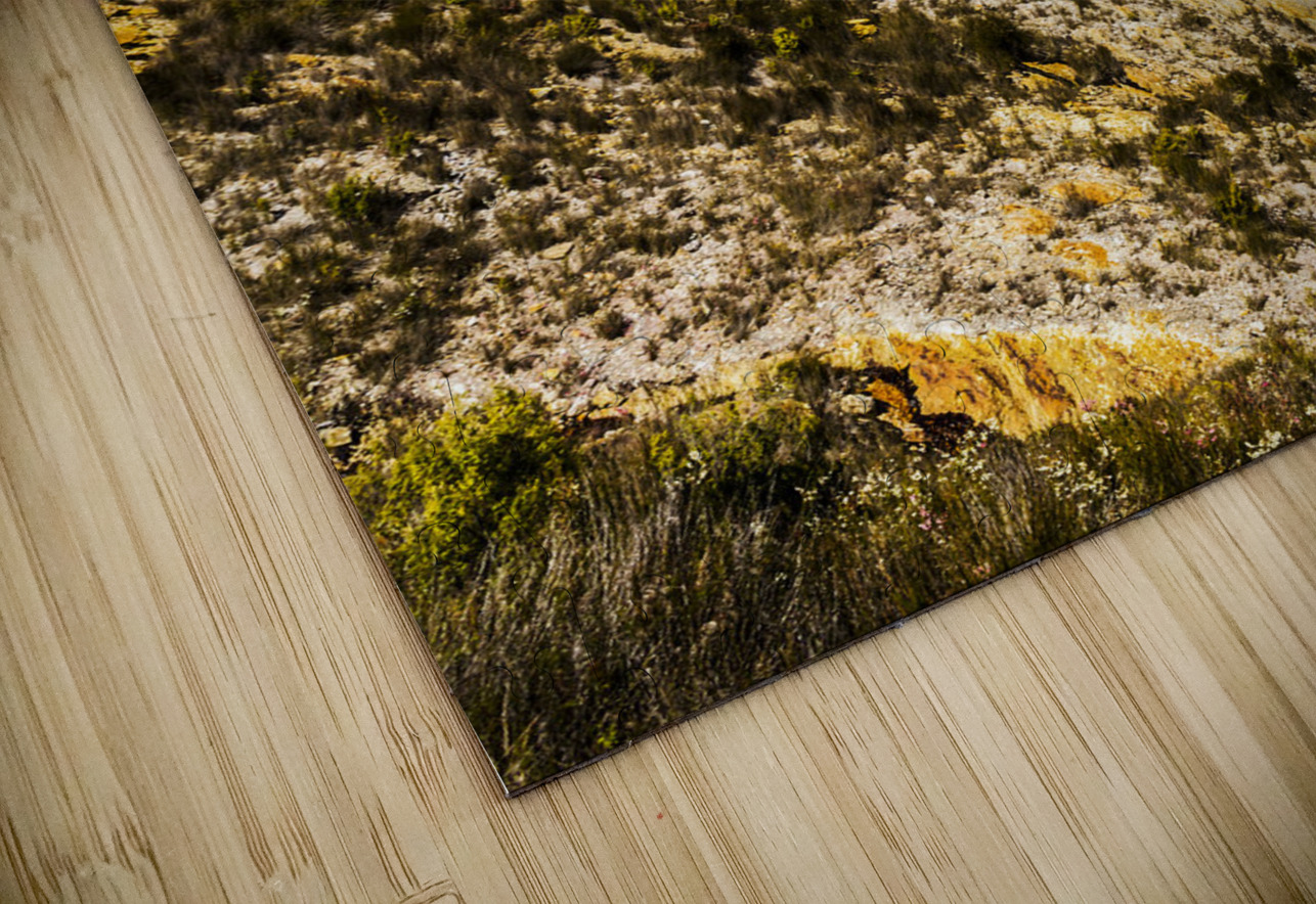 Colourful stony highlands Jorgo Puzzle