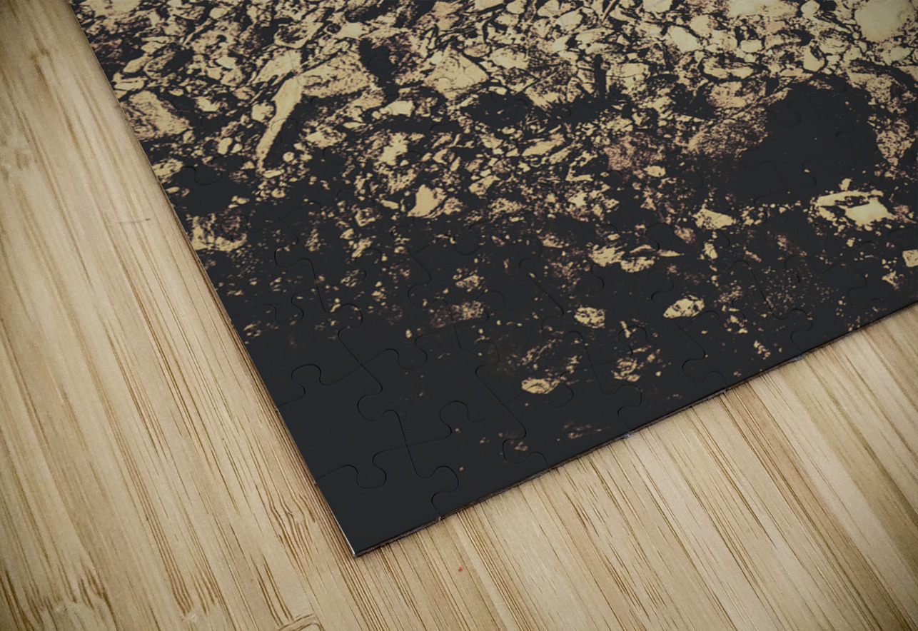 Pioneering aviation and travel Jorgo Puzzle