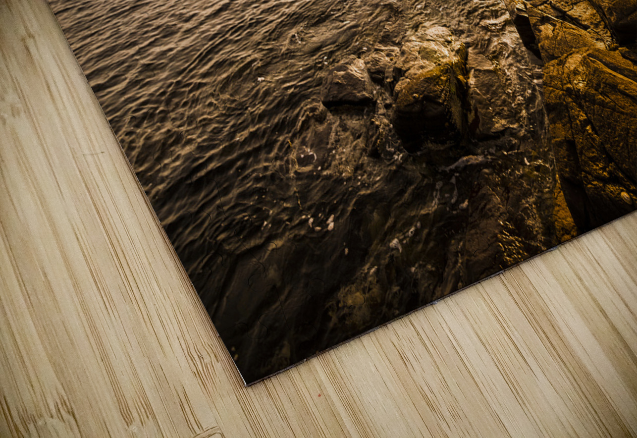 Petal point ocean sunrise Jorgo Puzzle