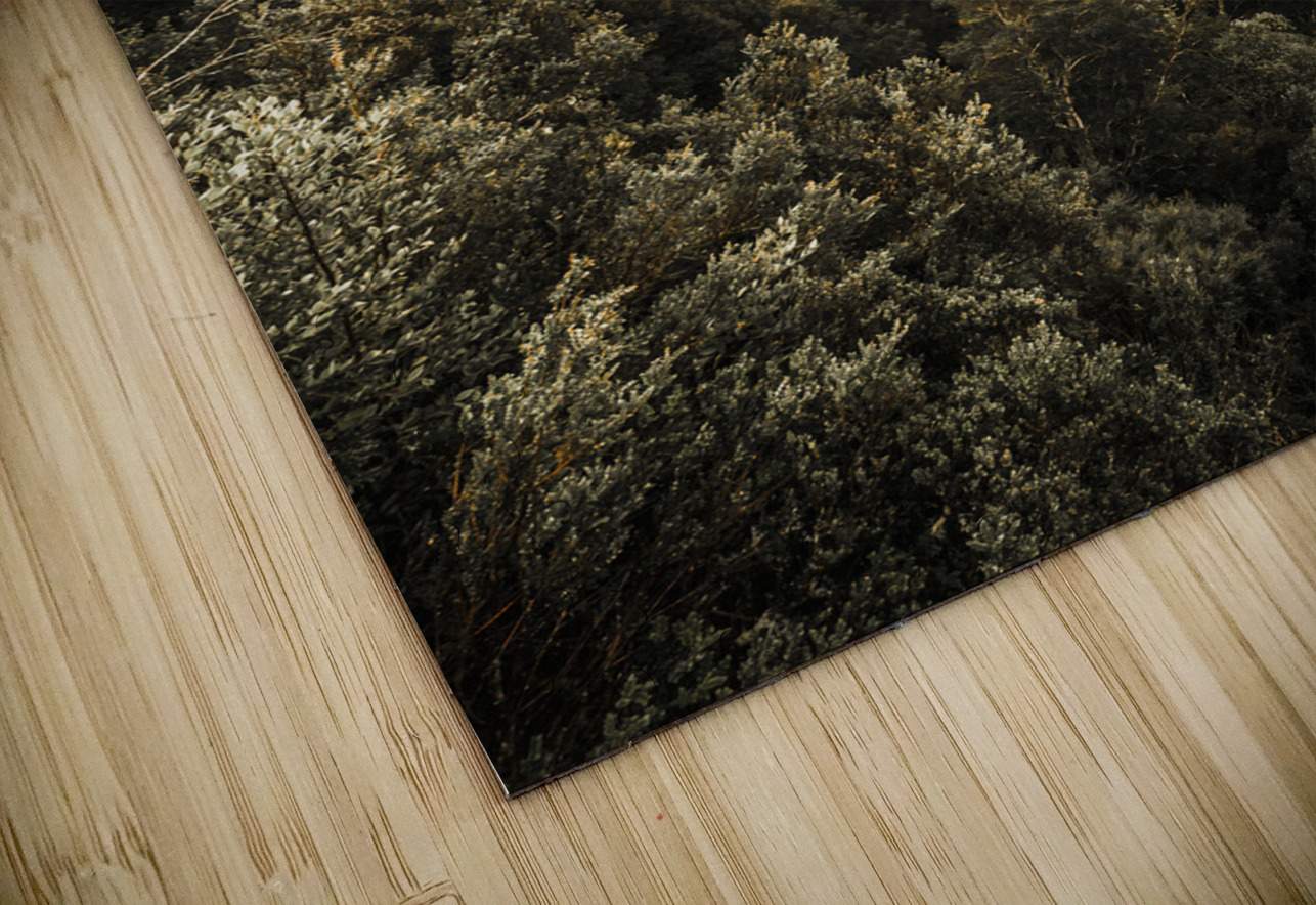 Destination beautiful Jorgo Puzzle