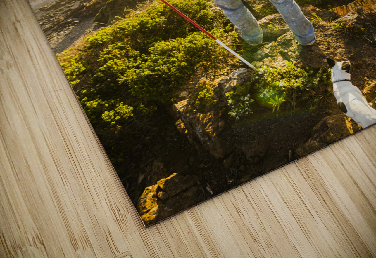 Spirit of Tasmania Jorgo Puzzle