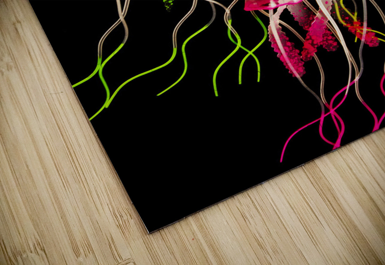 Captivating connectivity Jorgo Puzzle