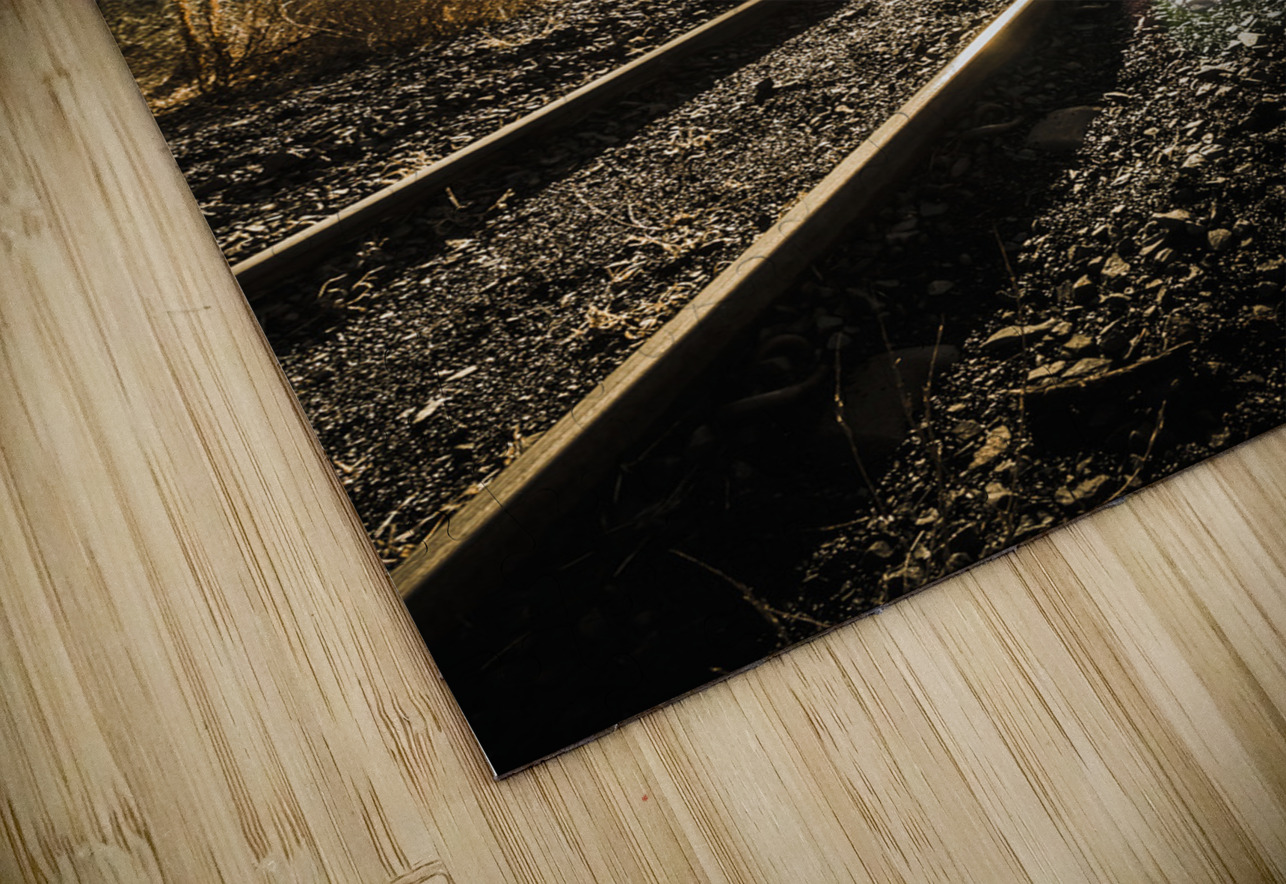 Old railroad track Jorgo Puzzle