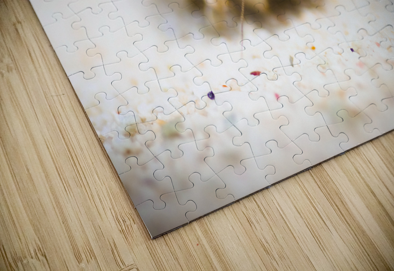 Hiding Hermit Crab Jorgo Puzzle