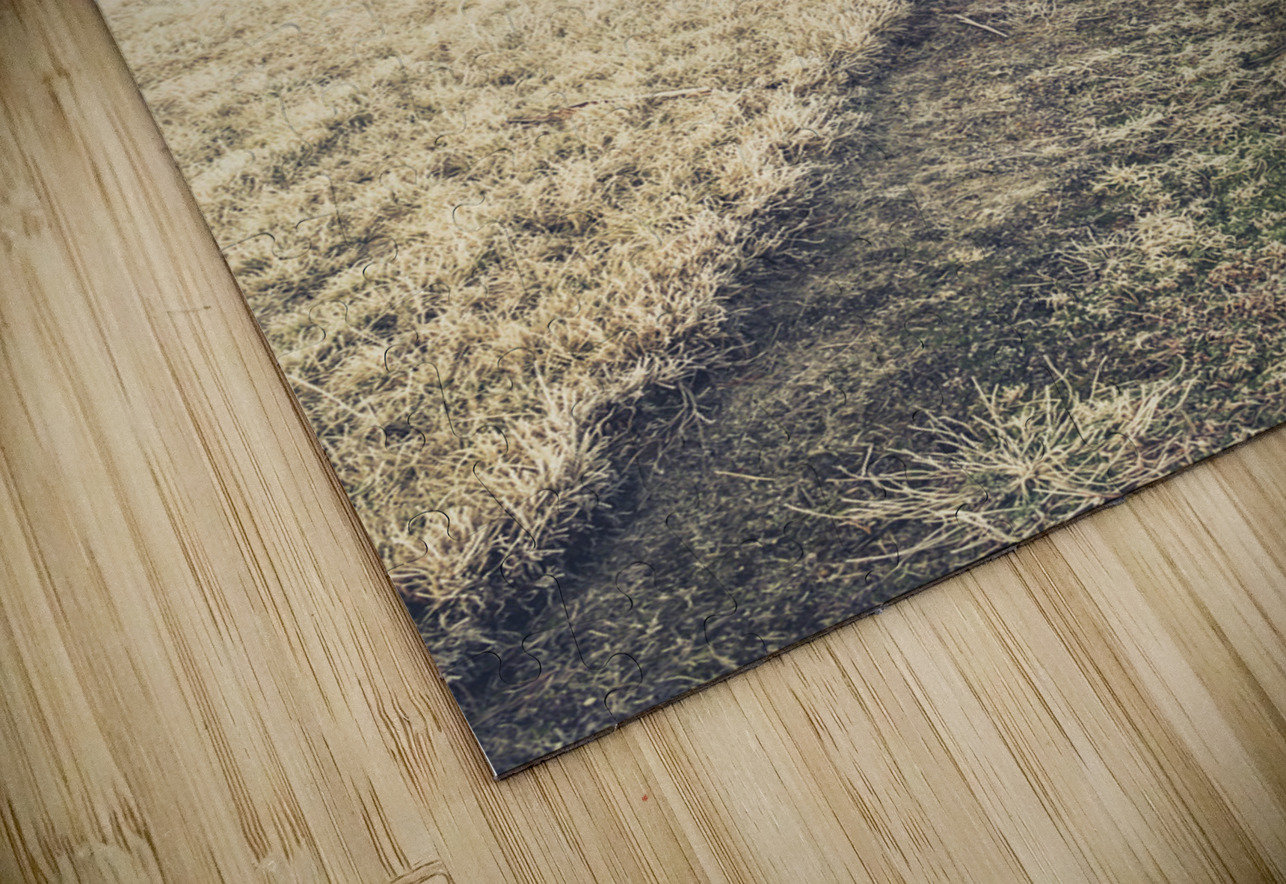 Trees in fog and mist Jorgo Puzzle