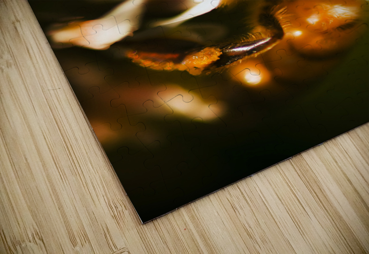 Process Of Pollination Jorgo Puzzle