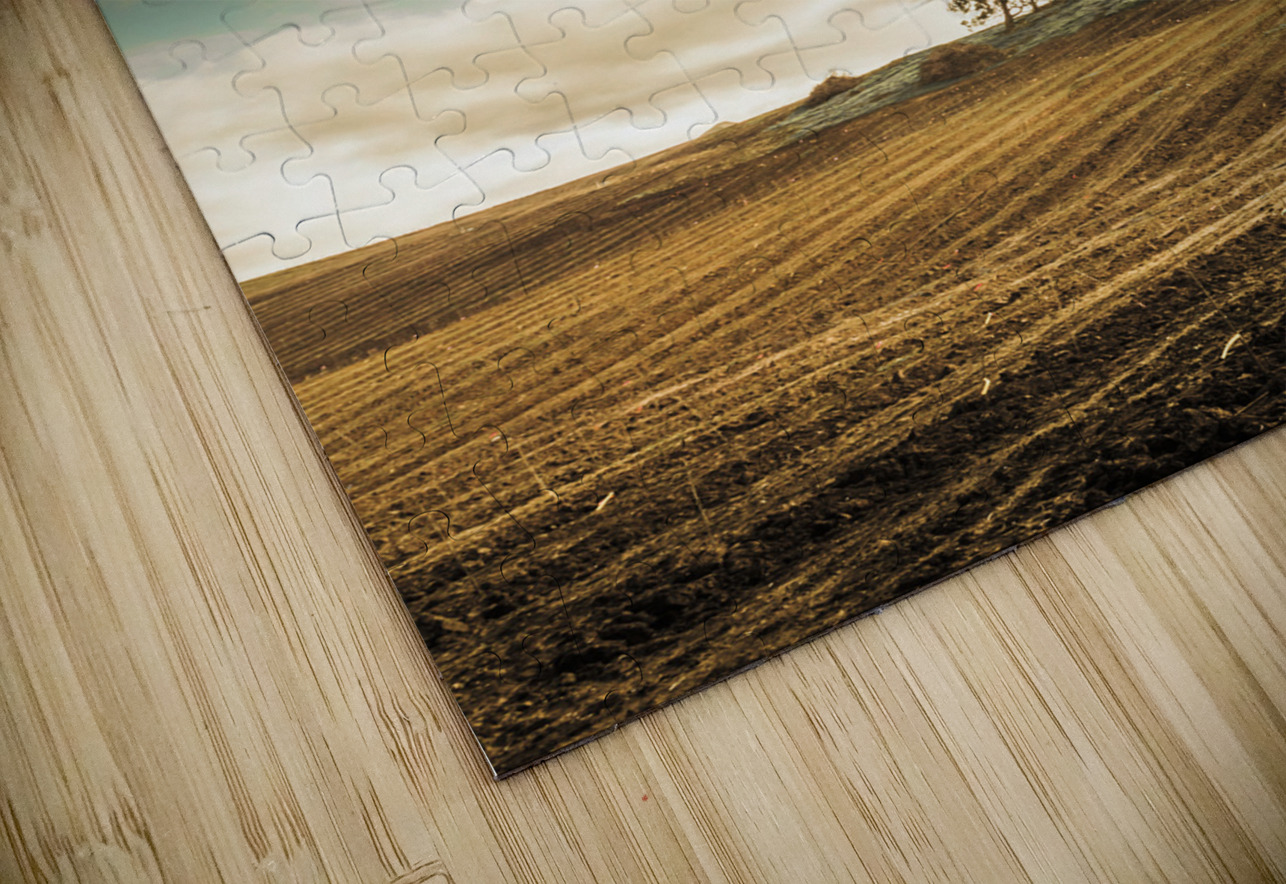 Cherry farm in the sowing Jorgo Puzzle