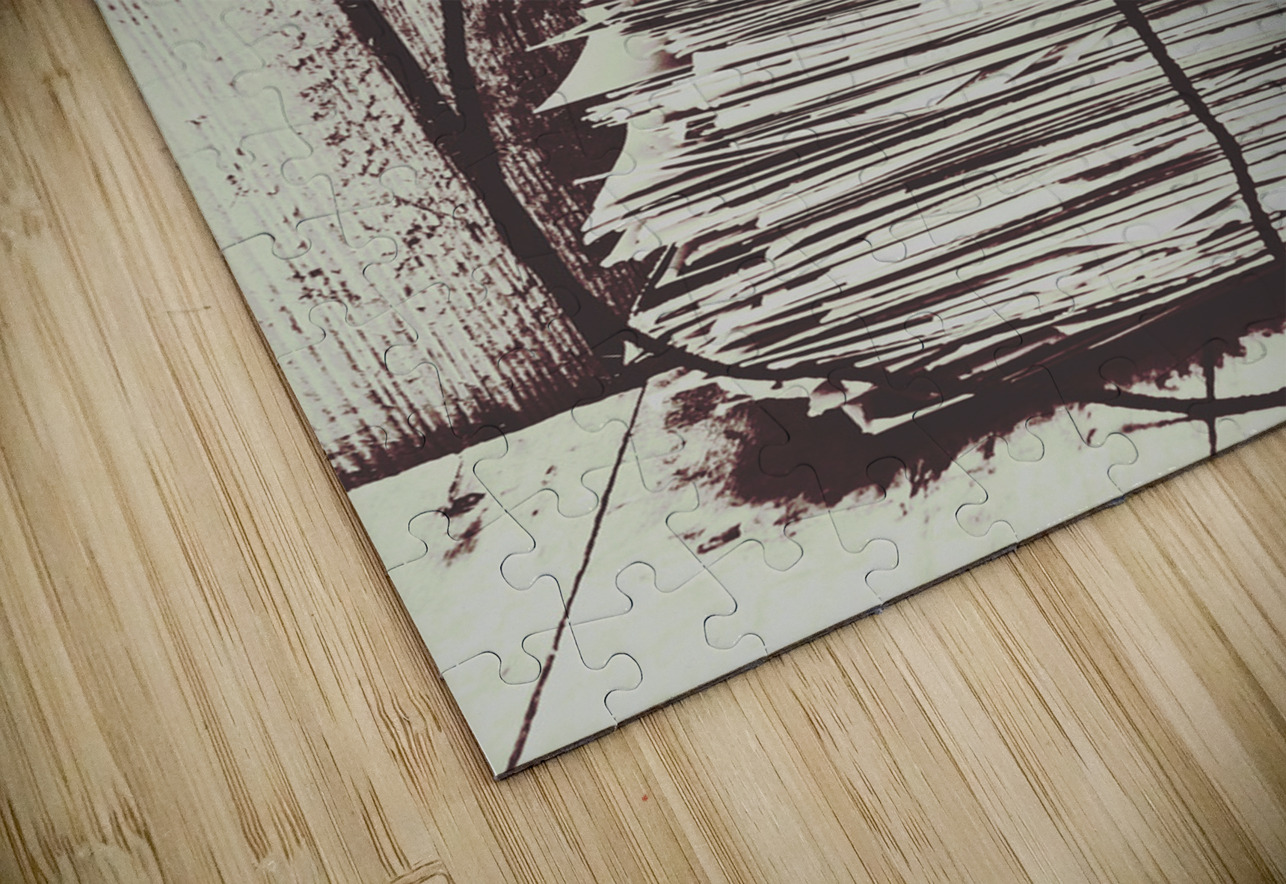 The photo room Jorgo Puzzle