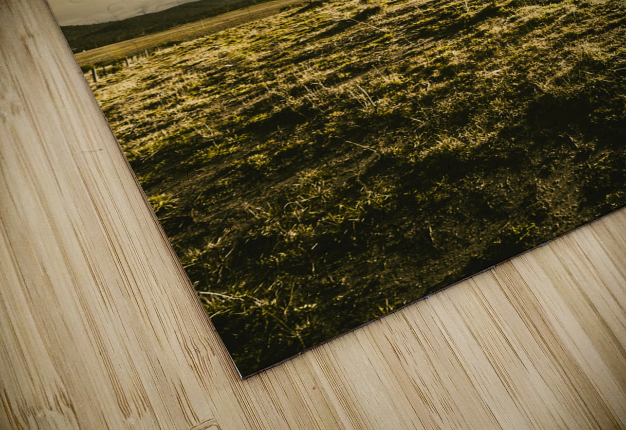 Mountain grassland Jorgo Puzzle