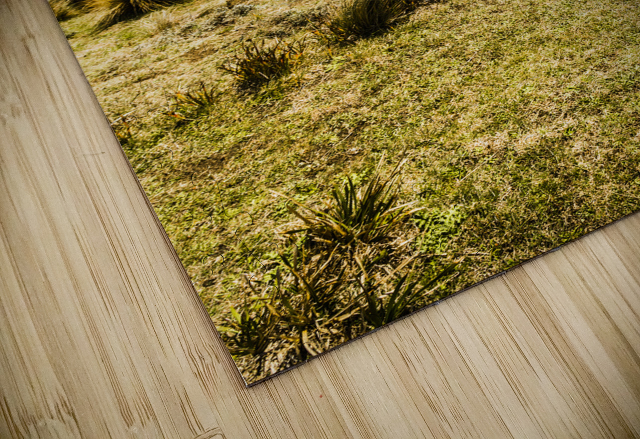 Captivating coastal cliff Jorgo Puzzle