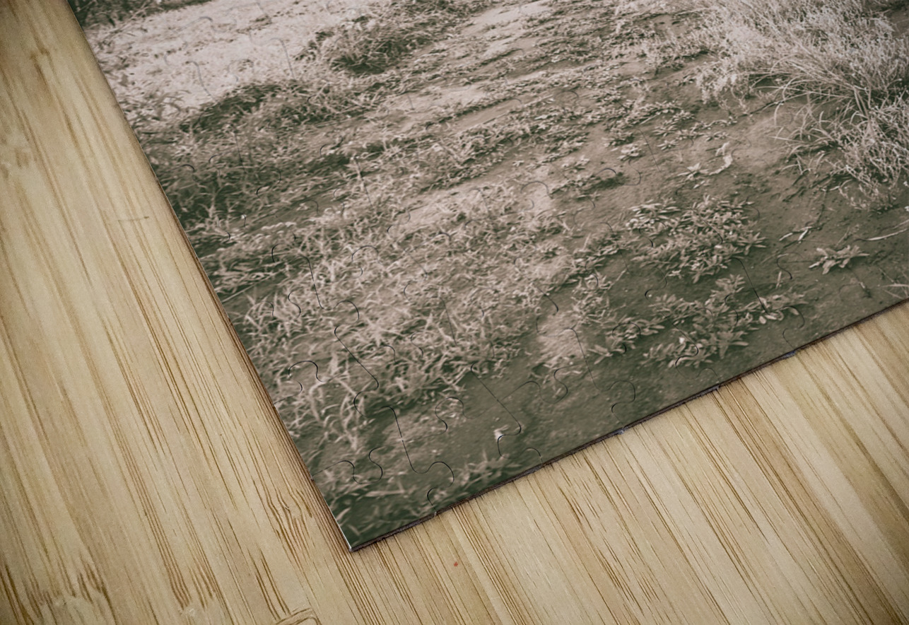 Through fields aplenty Jorgo Puzzle