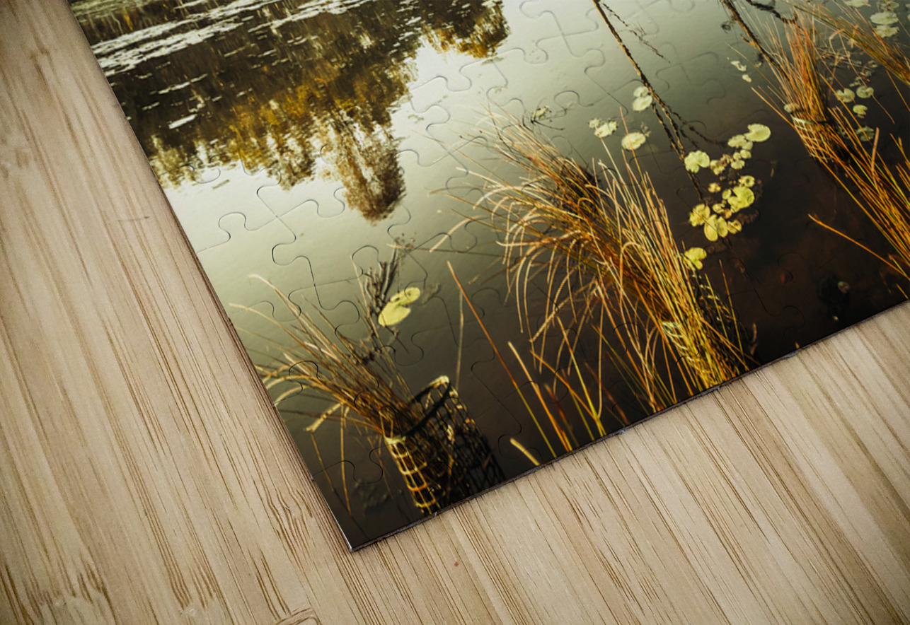 Soothing waters Jorgo Puzzle