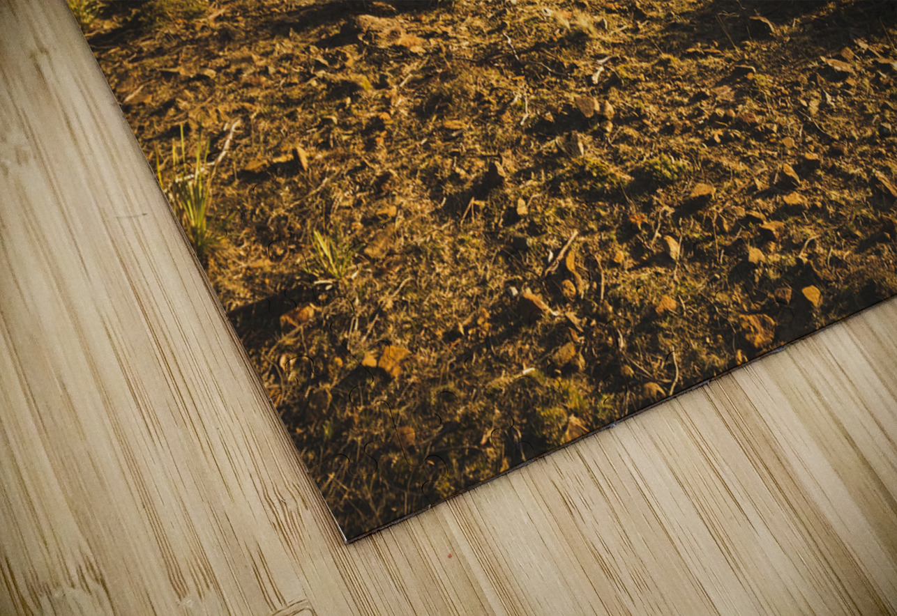 Idyllic rural Australia farmland  Jorgo Puzzle