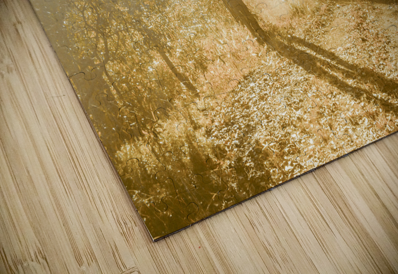 Autumns Adventure Jorgo Puzzle