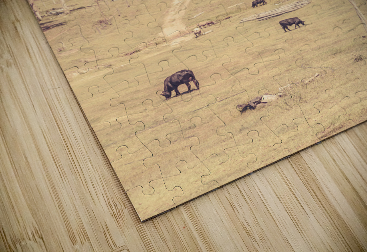 Old prairie Jorgo Puzzle