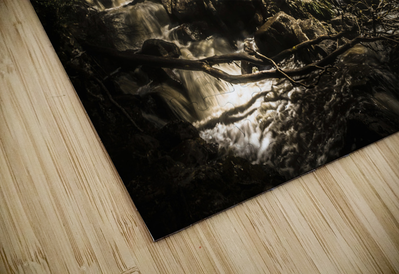 Tasmania wild Jorgo Puzzle