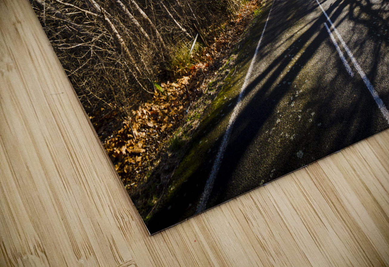 Beautiful roads in winters shadow Jorgo Puzzle