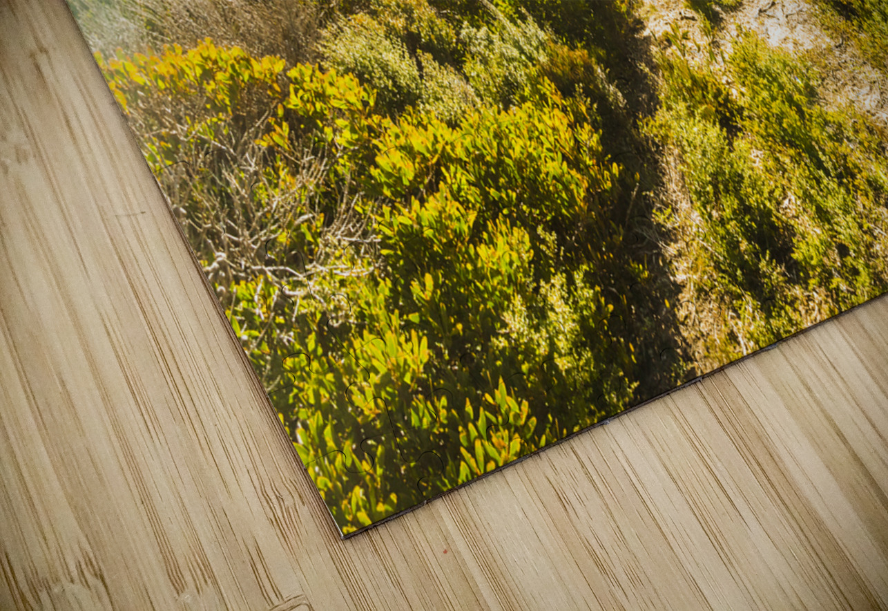 Misty ocean wilderness Jorgo Puzzle