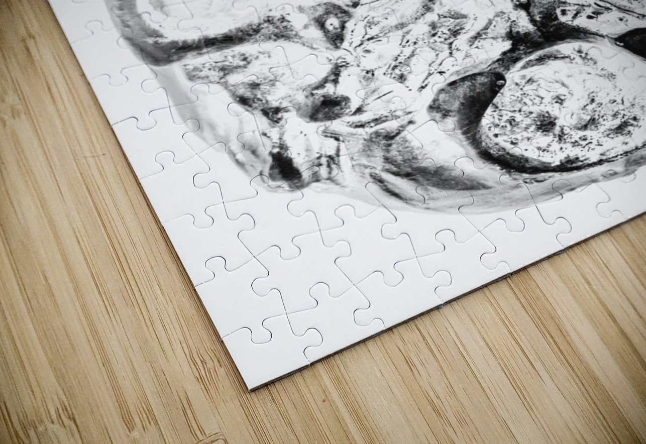 Skulls and dental records Jorgo Puzzle