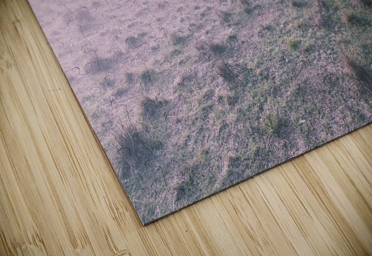 New South Wales foggy meadow Jorgo Puzzle