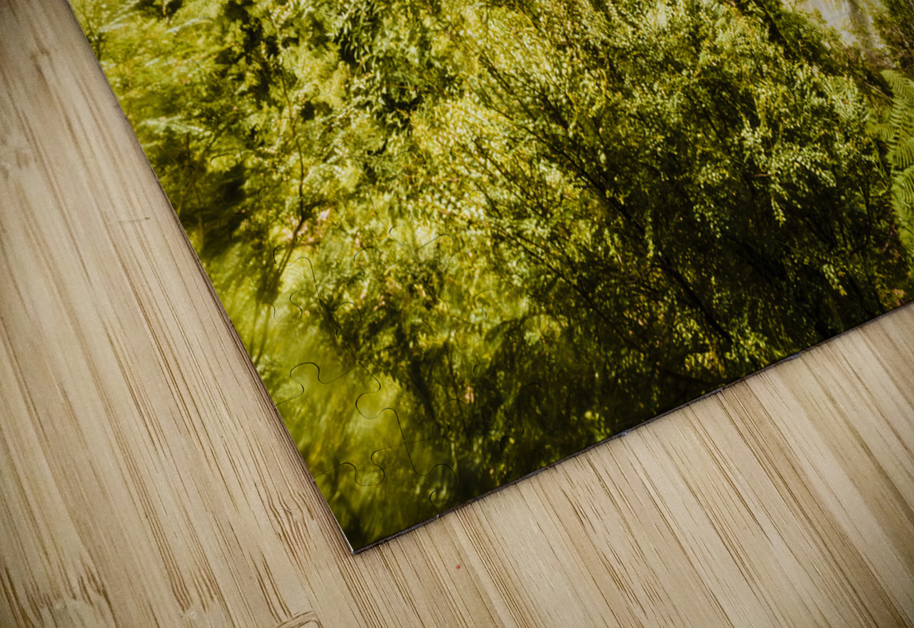 Jungle steams Jorgo Puzzle