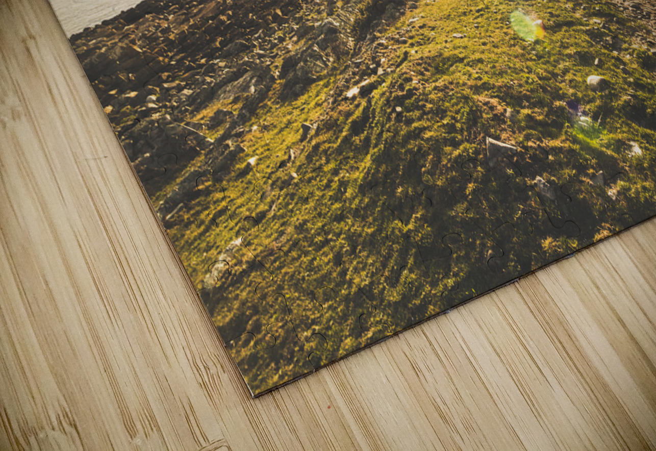 Routing western shores Jorgo Puzzle