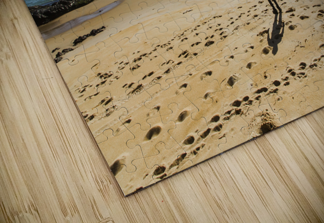 The lone explorer  Jorgo Puzzle