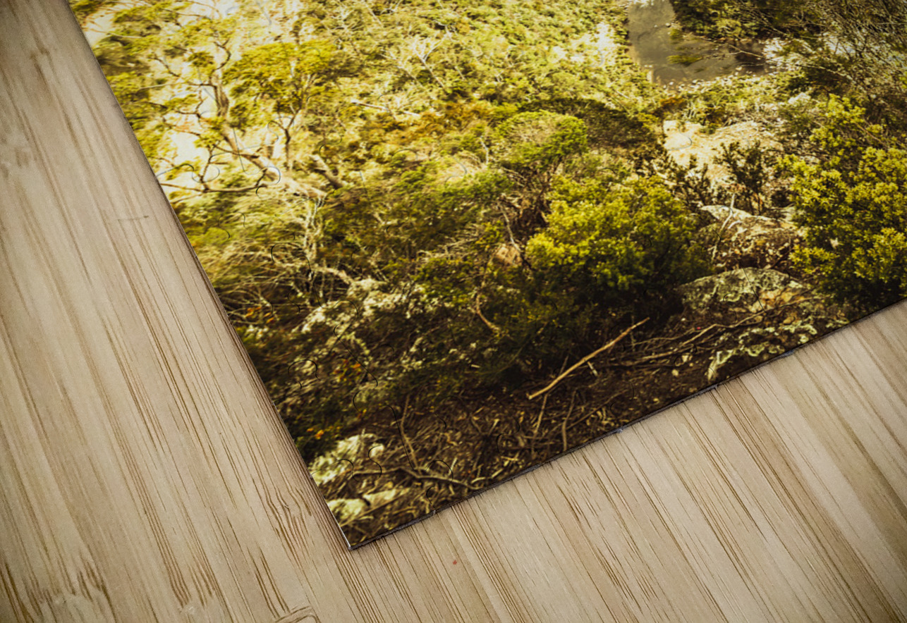 River Below Jorgo Puzzle