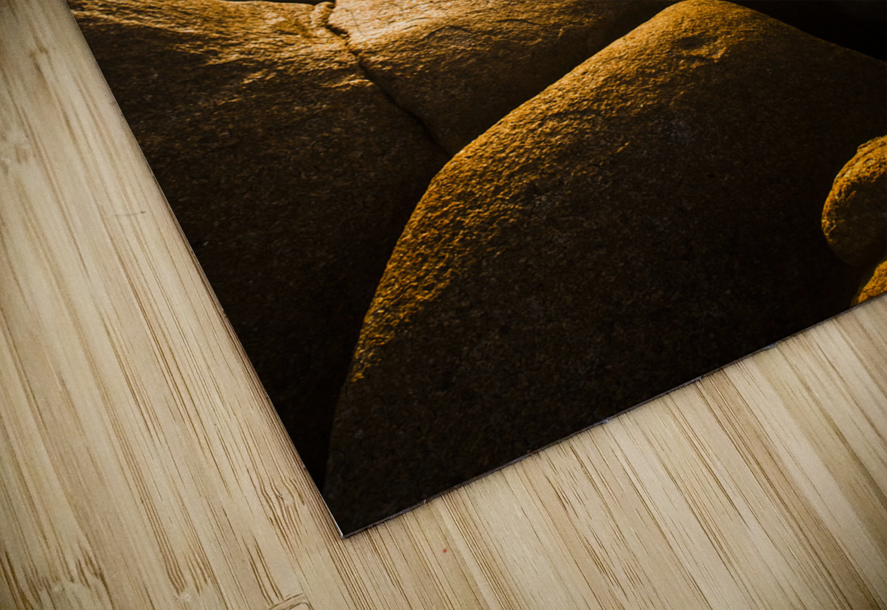 Sun bleached Australia beach Jorgo Puzzle