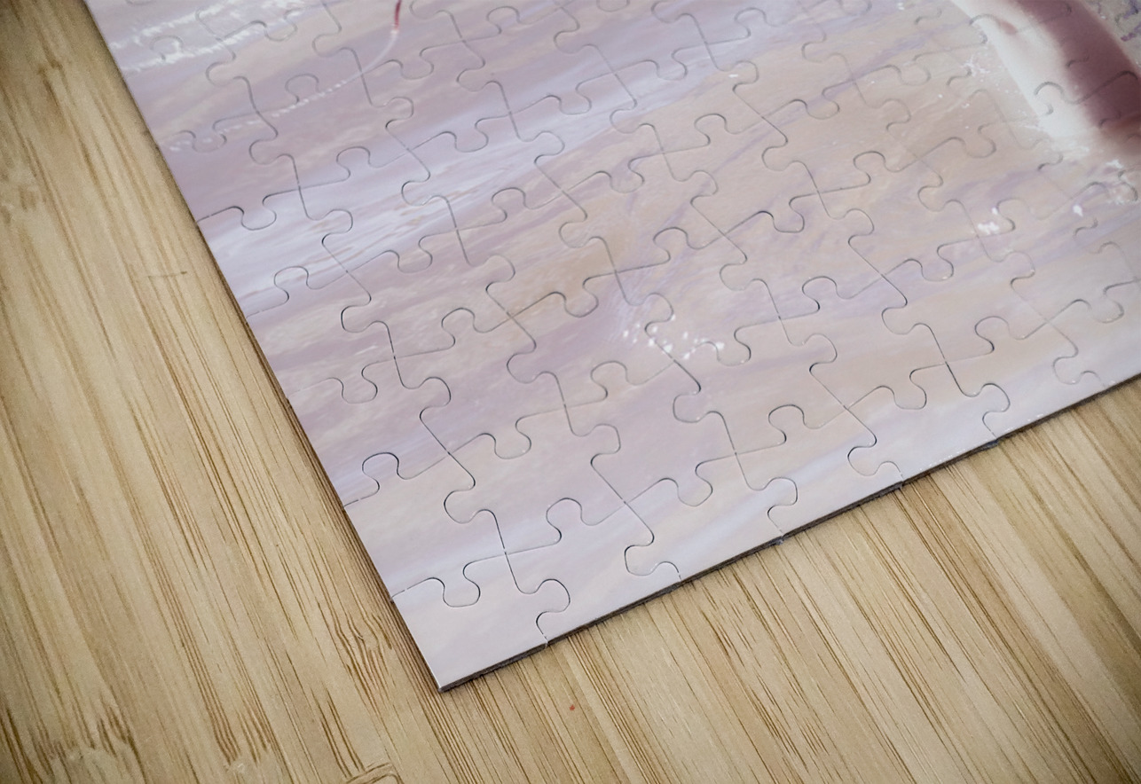 Vintage Water Fun Jorgo Puzzle