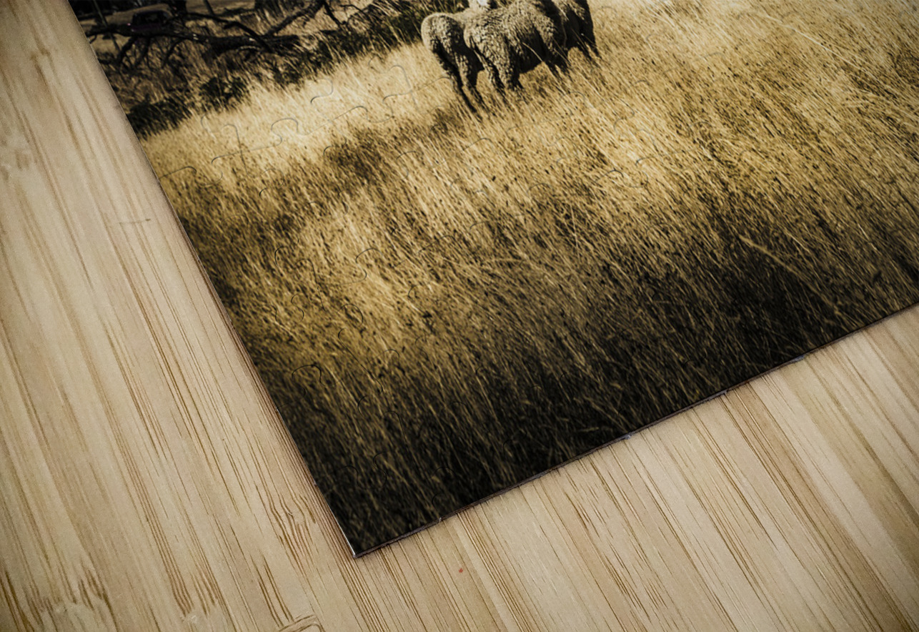 Tasmania landscape of an outback cattle station Jorgo Puzzle