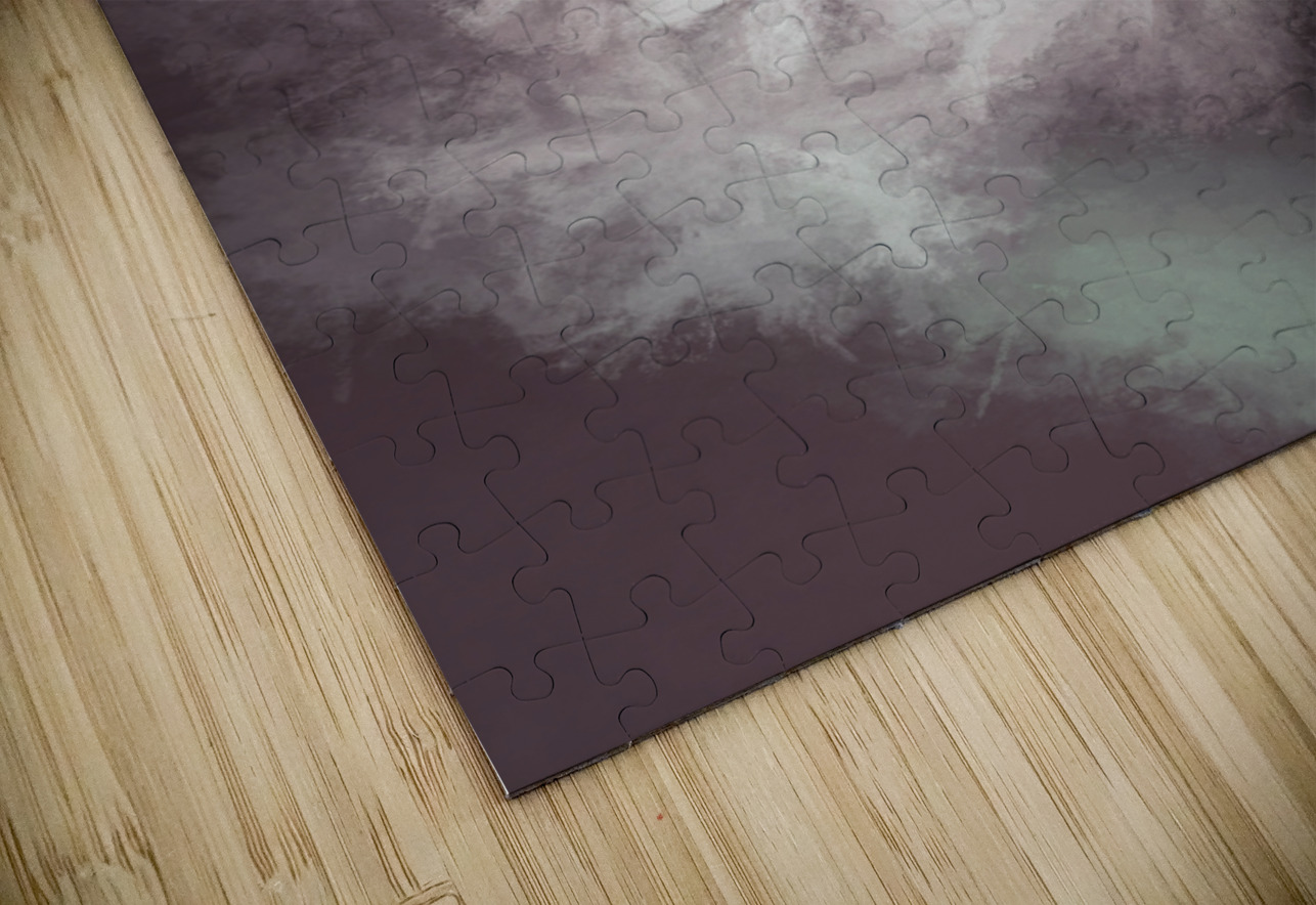 Fibonacci flowers in energy manipulation calculus Jorgo Puzzle