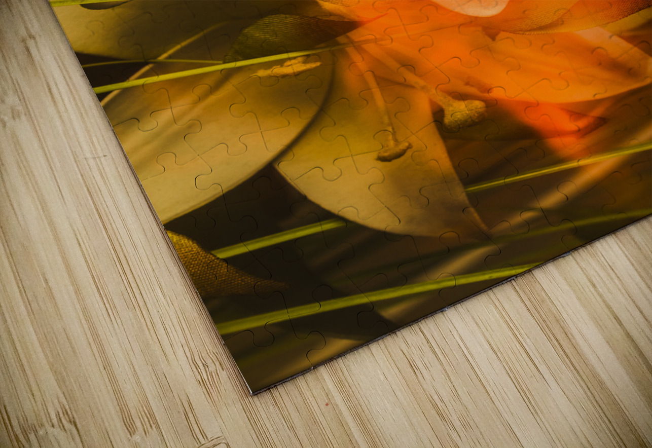 Flames of intimacy Jorgo Puzzle