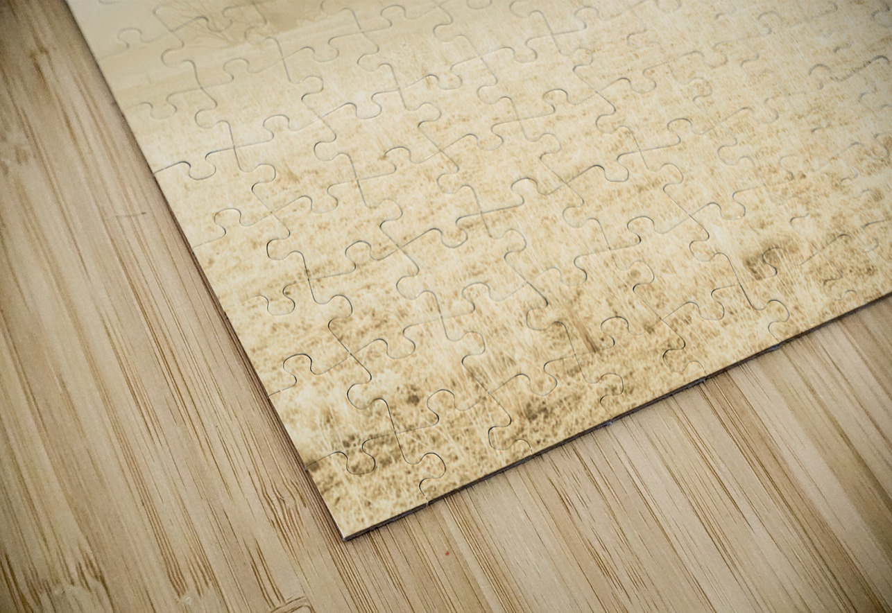 Icy cold foggy woodland Jorgo Puzzle