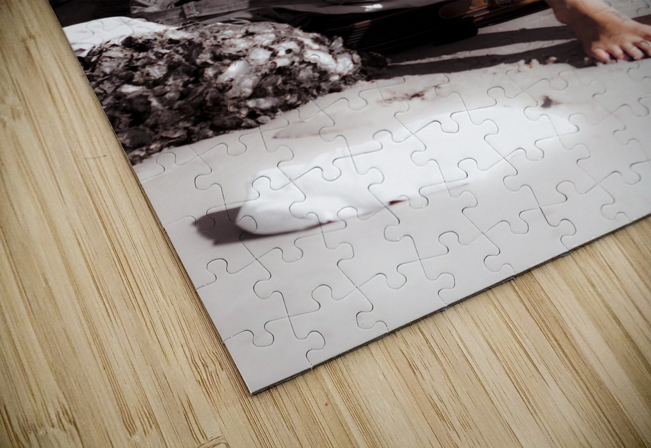 Tourist Jorgo Puzzle