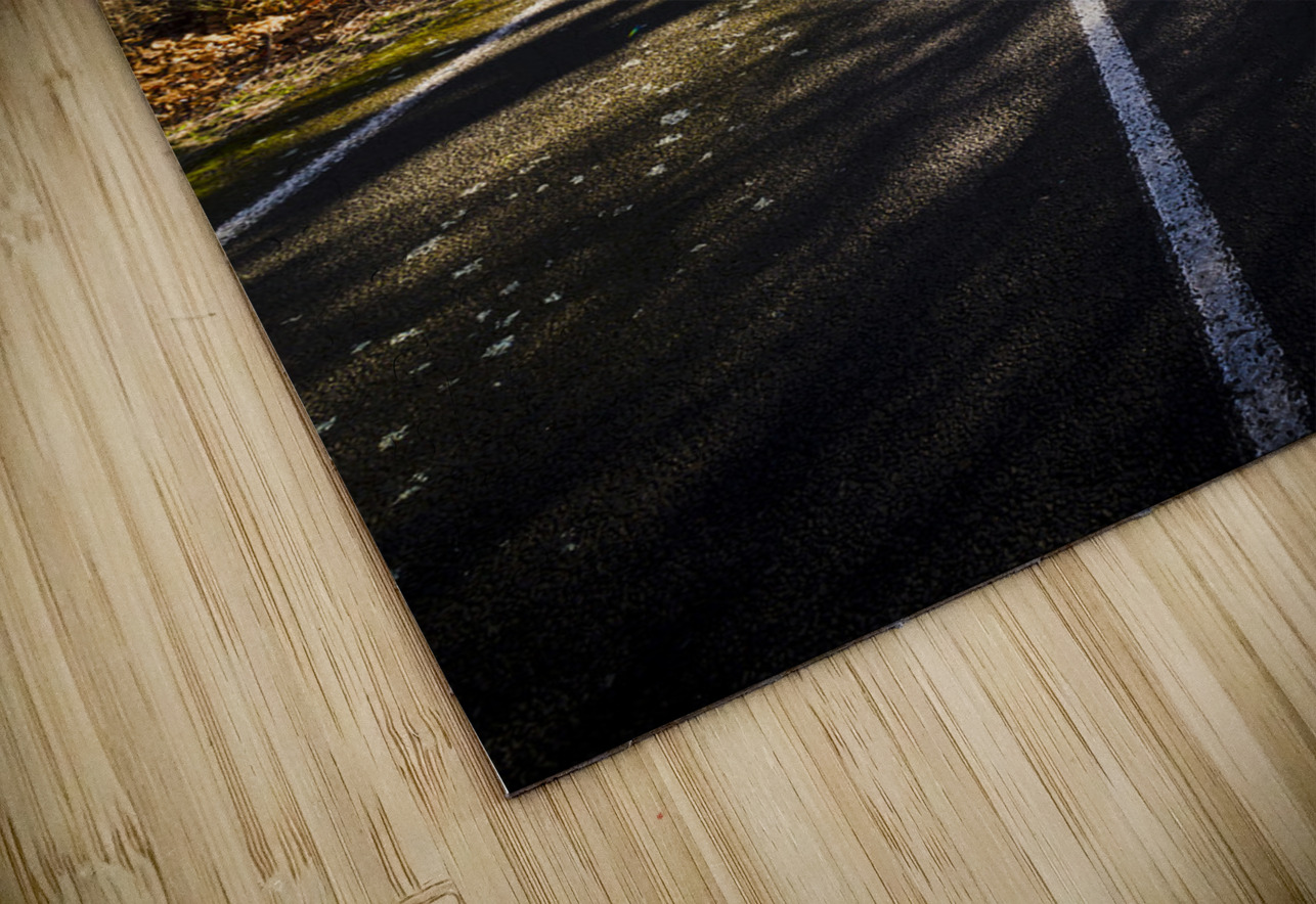 The way to Swansea Jorgo Puzzle