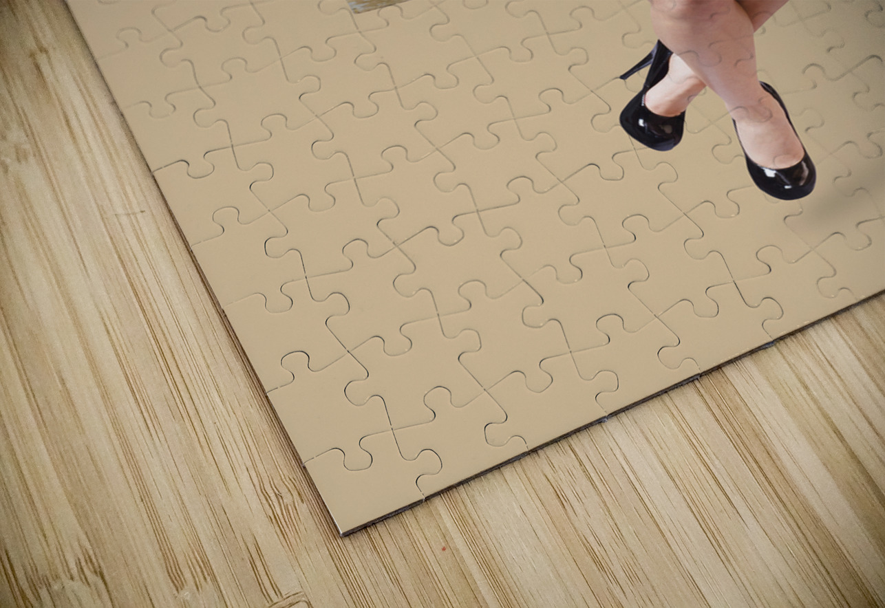 Swing pinup girl with beauty make-up and hairstyle Jorgo Puzzle