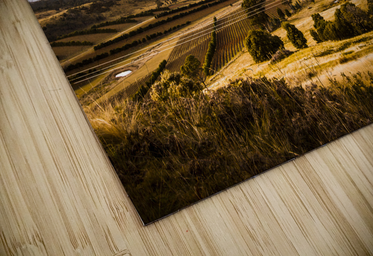 Cherry Tree Hill lookout Jorgo Puzzle