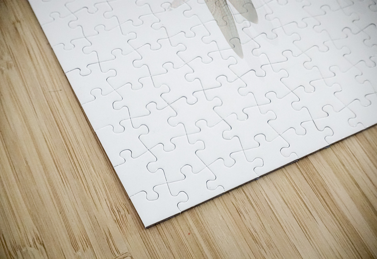 The Great Romanticism Jorgo Puzzle