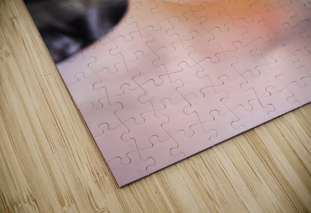 Cherry elegance Jorgo Puzzle