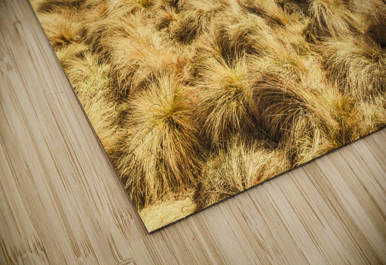 Rugged Australian pastures Jorgo Puzzle