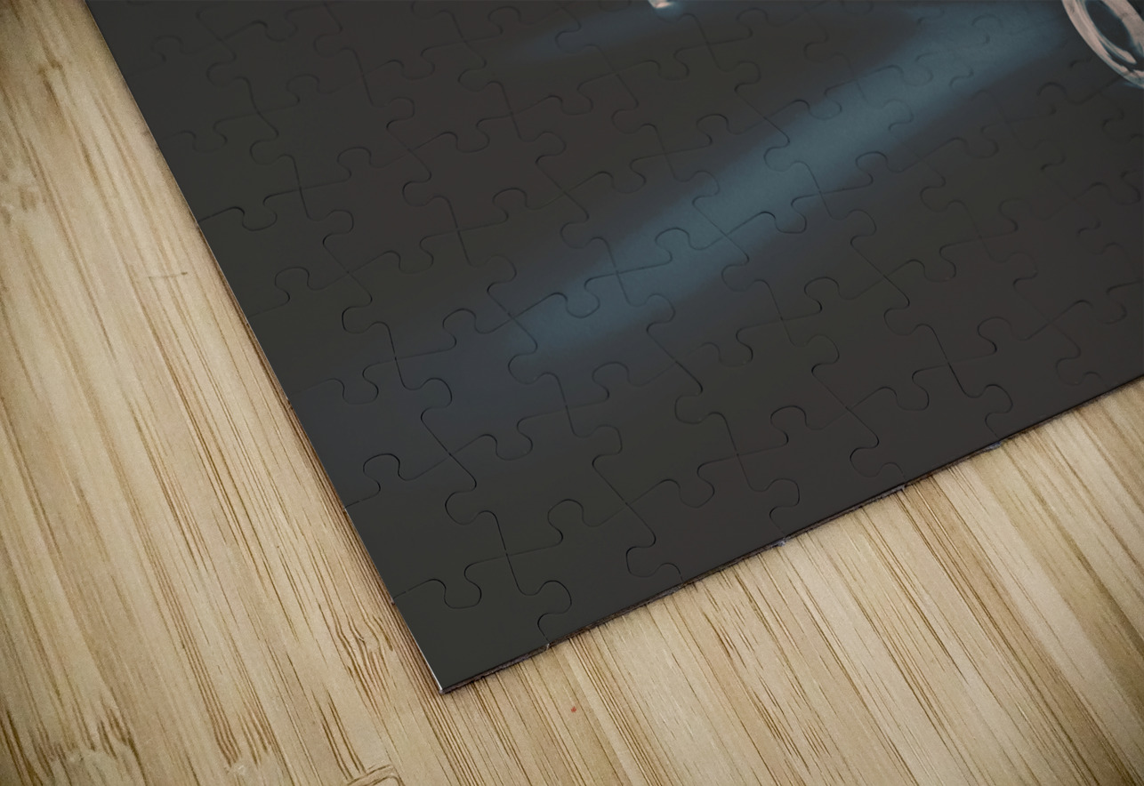 Tin wings Jorgo Puzzle