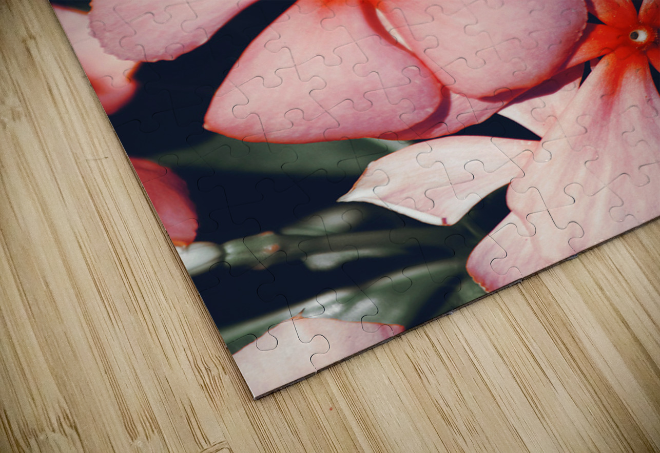 Flowering Pink Periwinkle Jorgo Puzzle