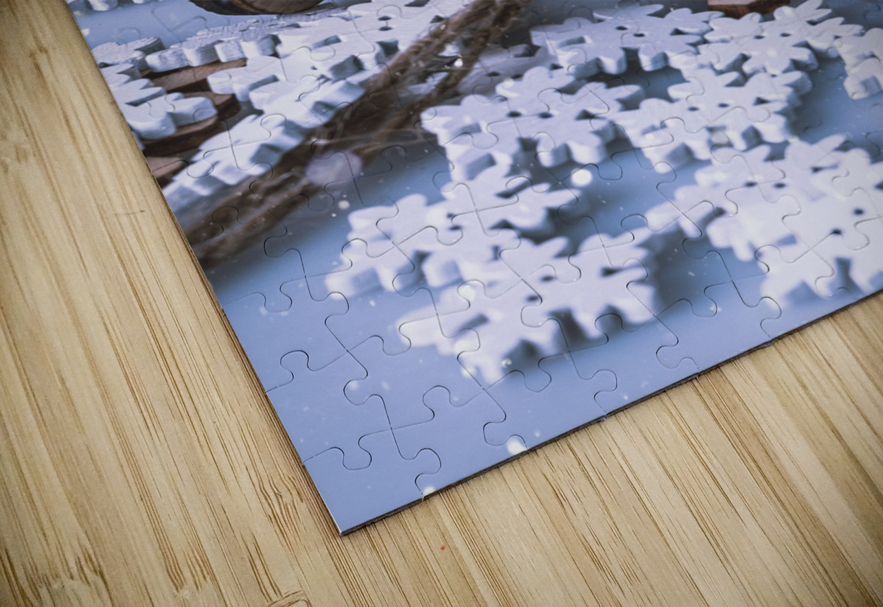 Panda frosts Jorgo Puzzle