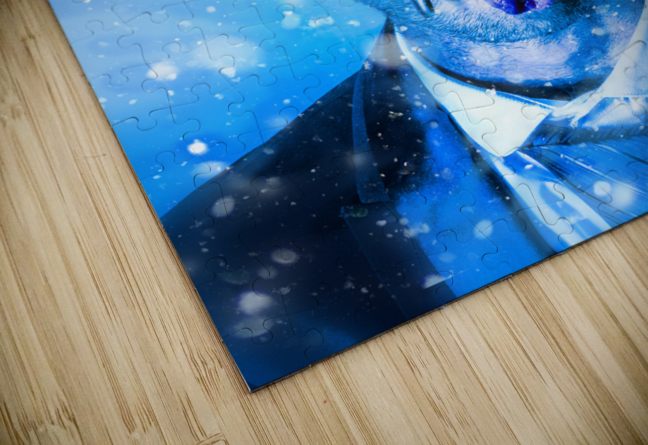 Frost bite Jorgo Puzzle