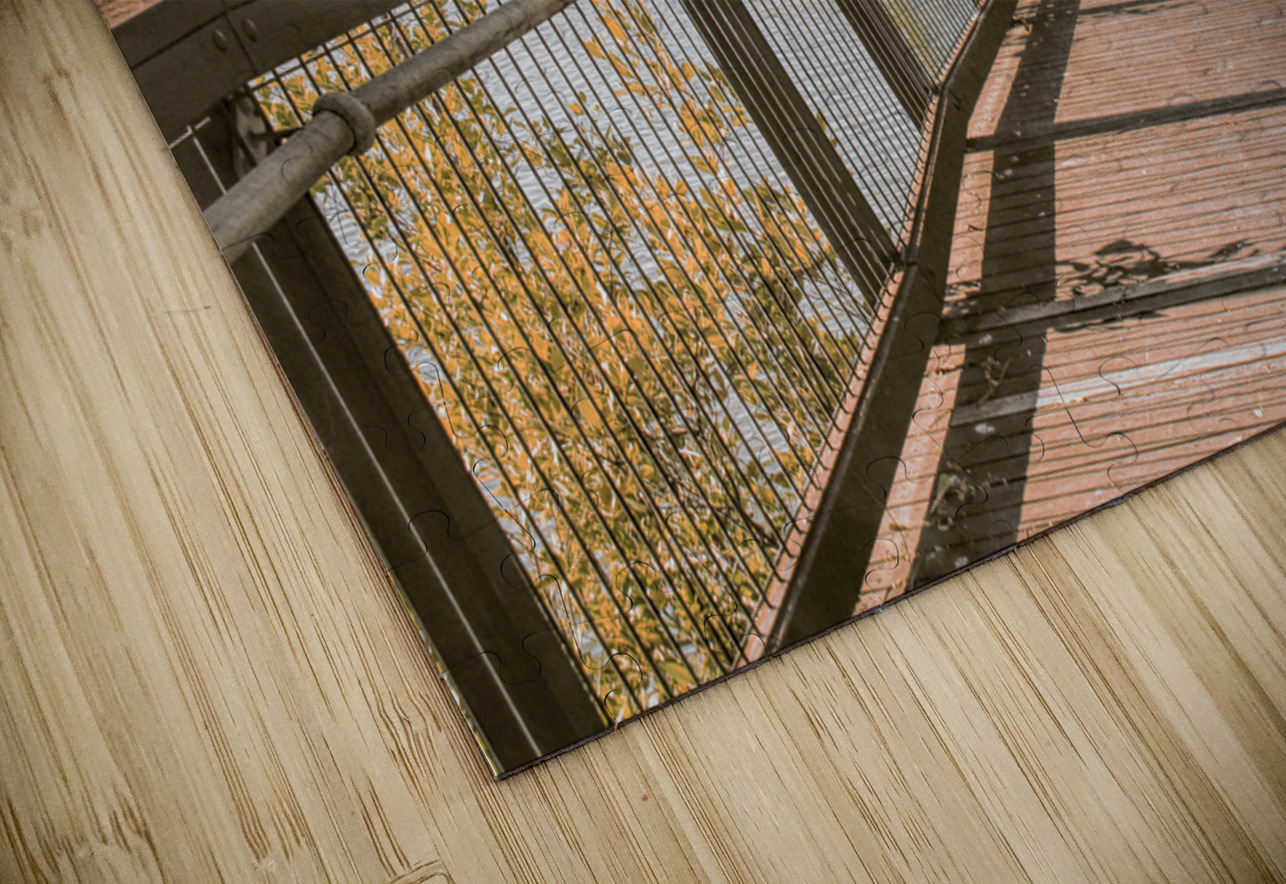 Bundaberg river walk Jorgo Puzzle