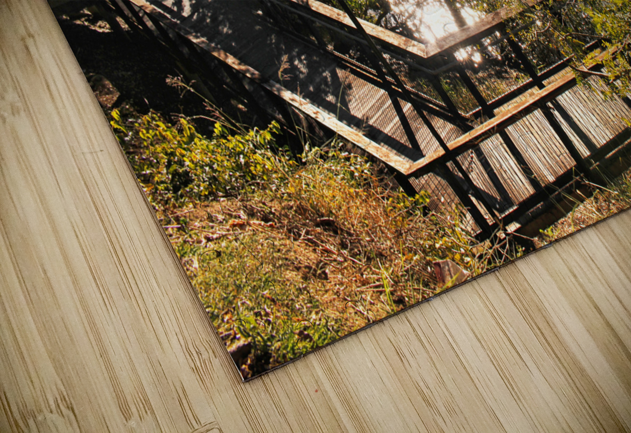 Burnett River Walk Jorgo Puzzle