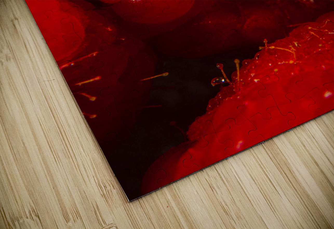 Raspberry macro Jorgo Puzzle